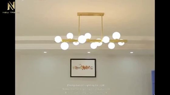 New design indoor decoration chandelier iron frame modern led pendant light DG8202