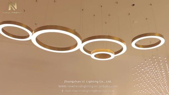 manufacturing indoor decoration project chandelier stainless steel ring pendant light CPL-27